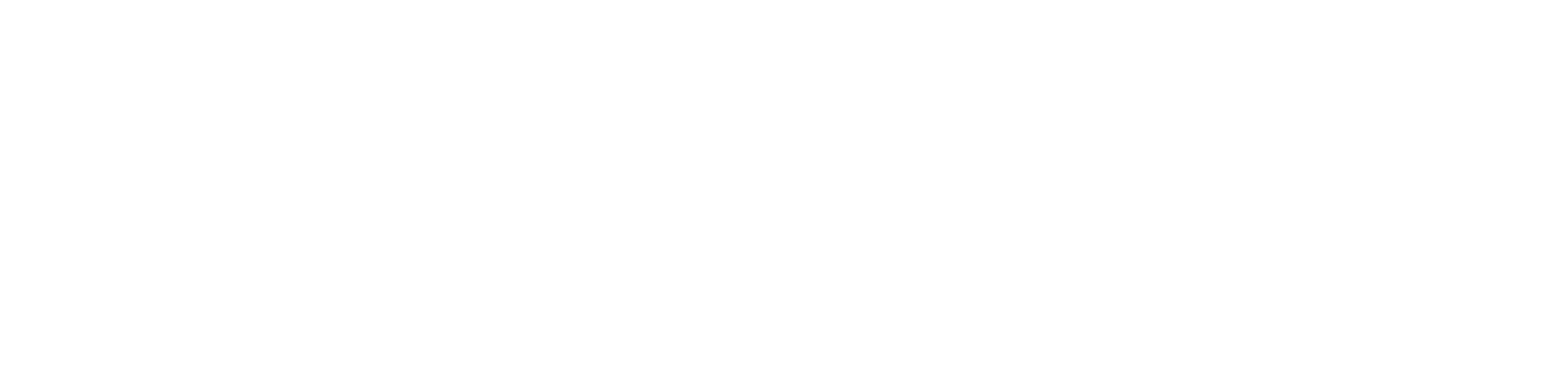 Florida Institute for National Security (FINS)