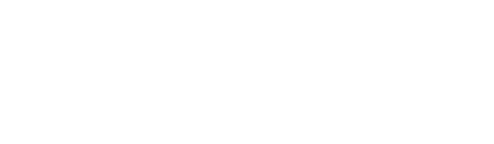 Florida Institute for National Security (FINS)